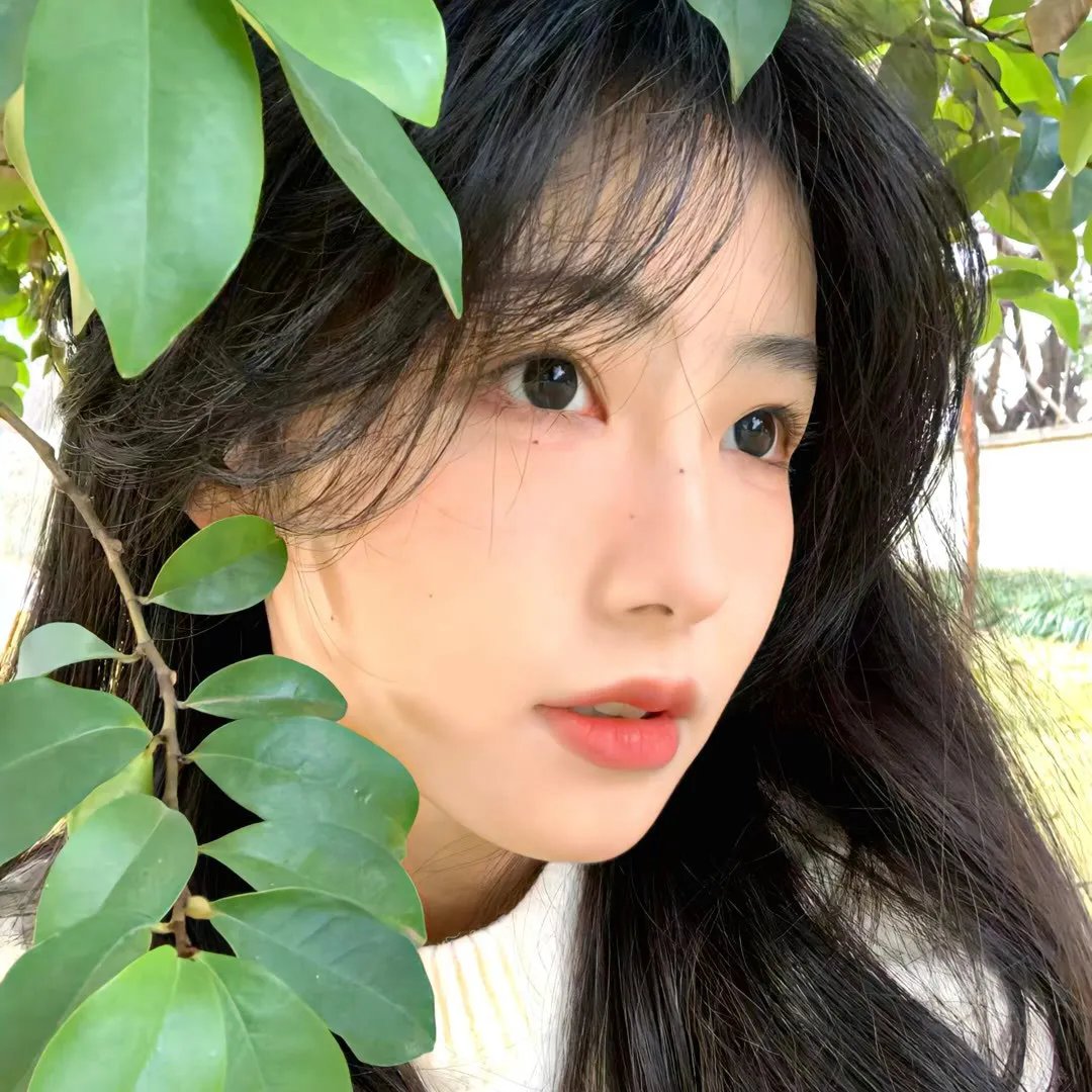 女武神的餐桌第一季
