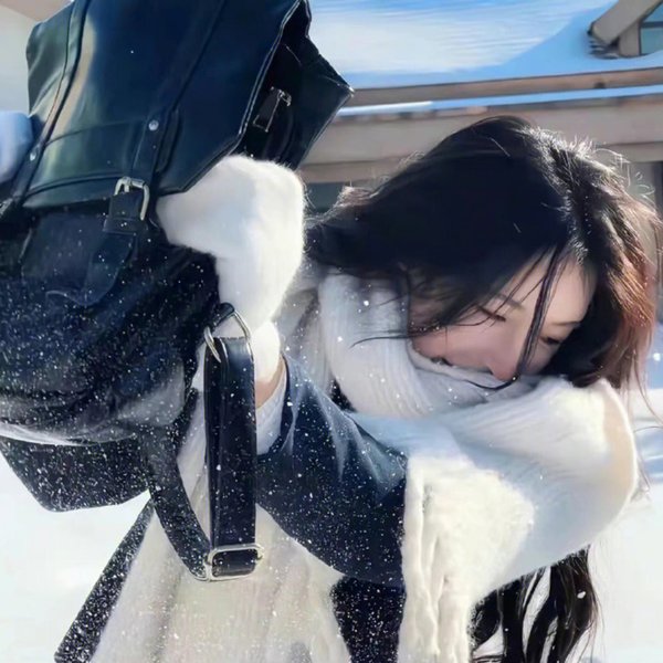 新仙鹤神针