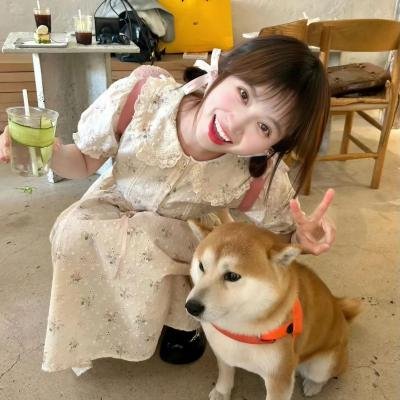 截然相反的日子